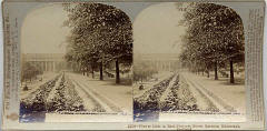 Stereo View by The Fine Art Photographers' Publishing Co  -  Princes Street Gardens