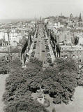 Photograph by Norward Inglis  -  George Street from the roof of St George's Church in Charlotte Square