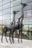 Two Giraffes outside the Omni Centre, Greenside Place, Top of Leith Walk, Edinburgh