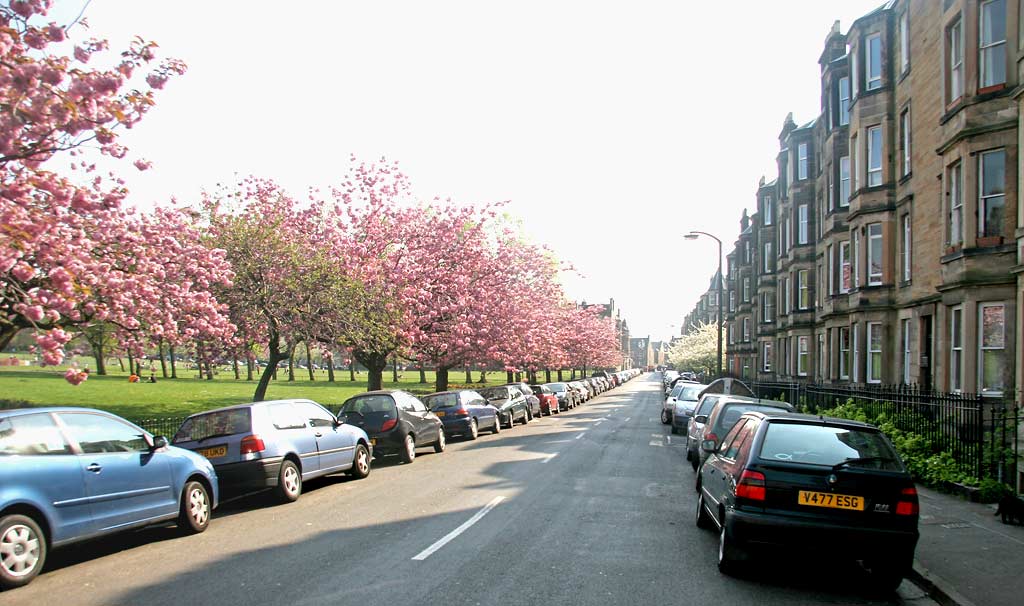 Harrison Gardens - along the NW edge of the western side of Harrison Park