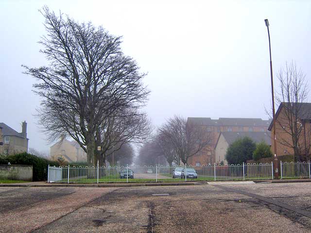 The middle of Hutchison Crossway  -  where the two sections of the street meet