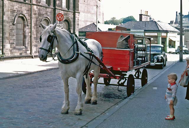 Milk deliveries by horse and cart in Leslie Place  -  early 1960s
