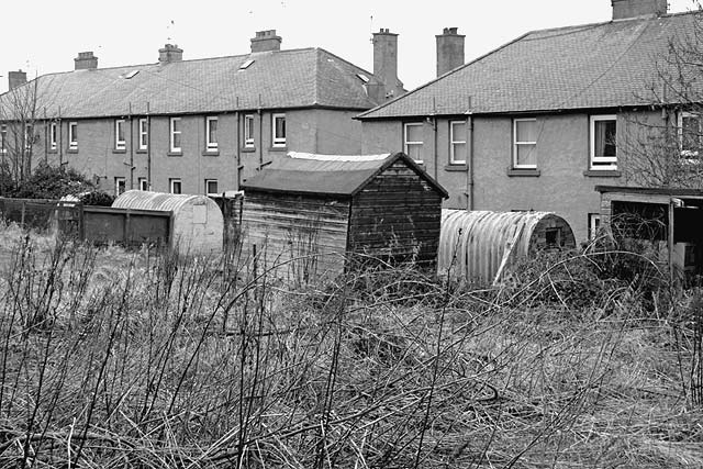 Anderson Shelters in Back Gardens at Newtoft Street, Gilmerton  -  2011