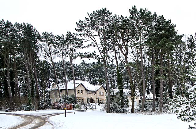 New housing on the northern section of Littlejohn Road, close to Greenbank Drive